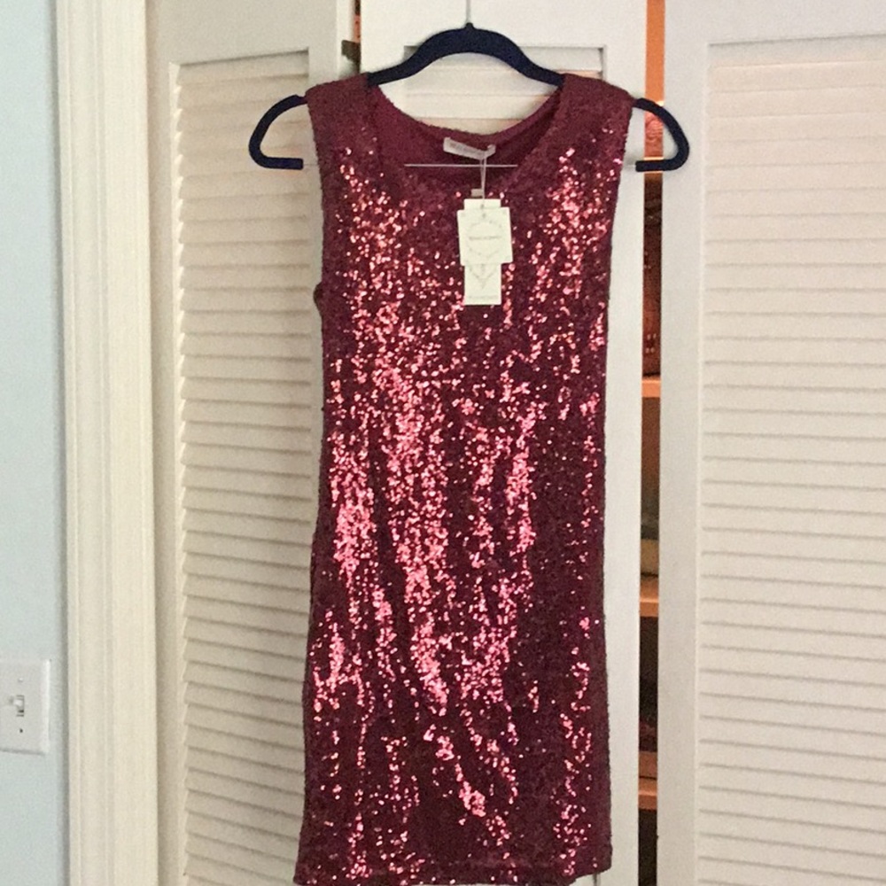 NWT, Burgundy, Sequined Dress